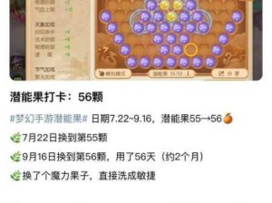 梦幻西游手游大唐潜能果完美搭配实战攻略